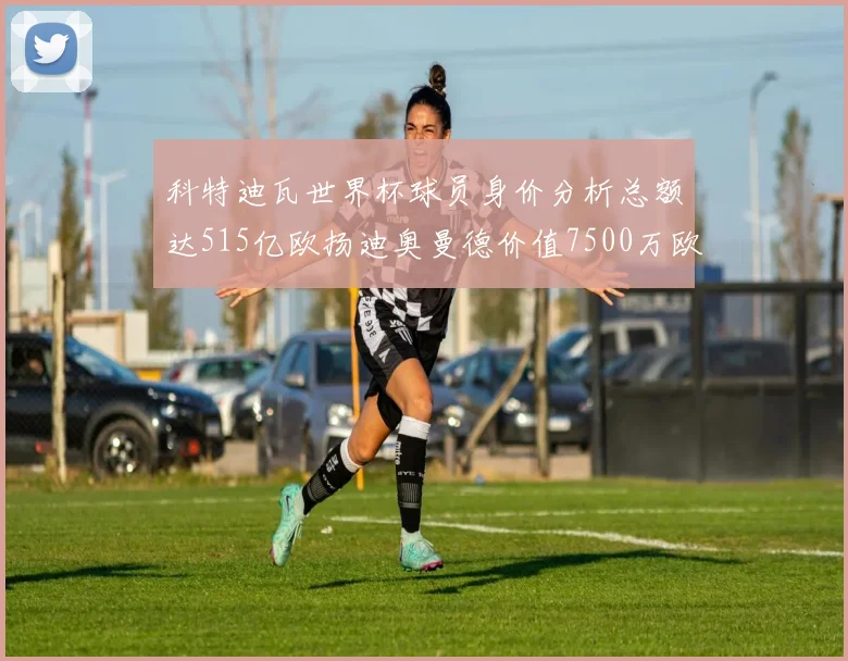 科特迪瓦世界杯球员身价分析总额达515亿欧扬迪奥曼德价值7500万欧