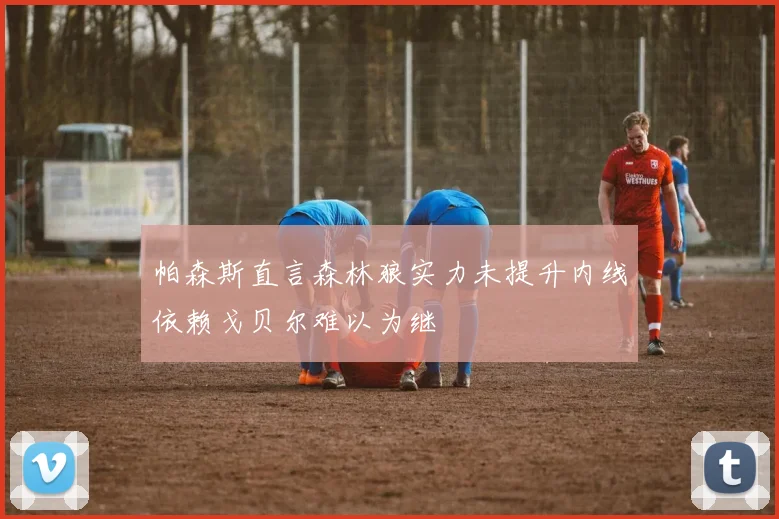 帕森斯直言森林狼实力未提升内线依赖戈贝尔难以为继